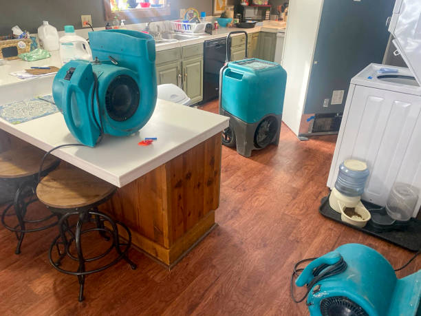 Best Water damage restoration near me  in Nixon, PA
