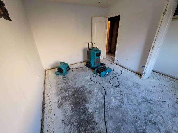 Best Fire Damage Restoration  in Nixon, PA