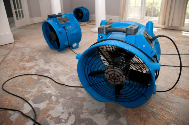 Best Local water damage restoration  in Nixon, PA