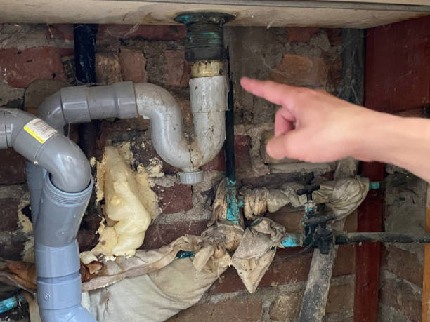 Best Flood damage cleanup  in Nixon, PA