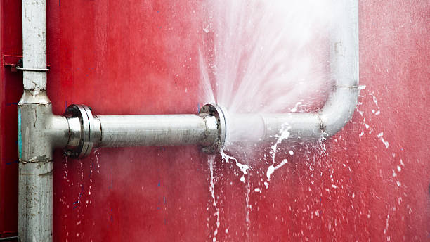  Nixon, PA Water damage restoration Pros